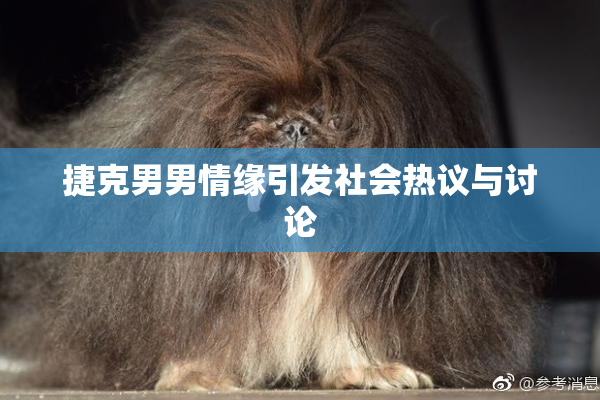 捷克男男情缘引发社会热议与讨论