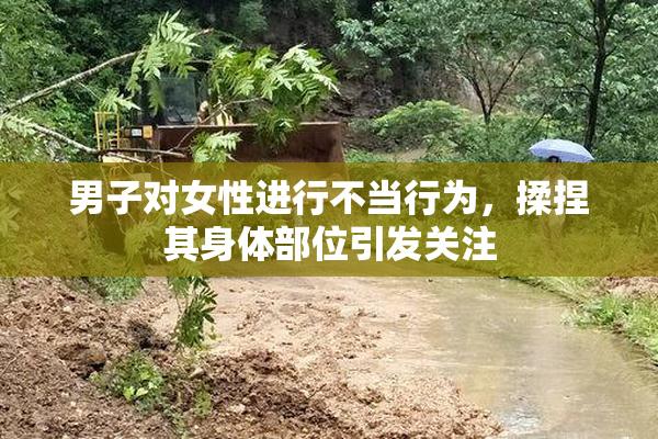 男子对女性进行不当行为，揉捏其身体部位引发关注