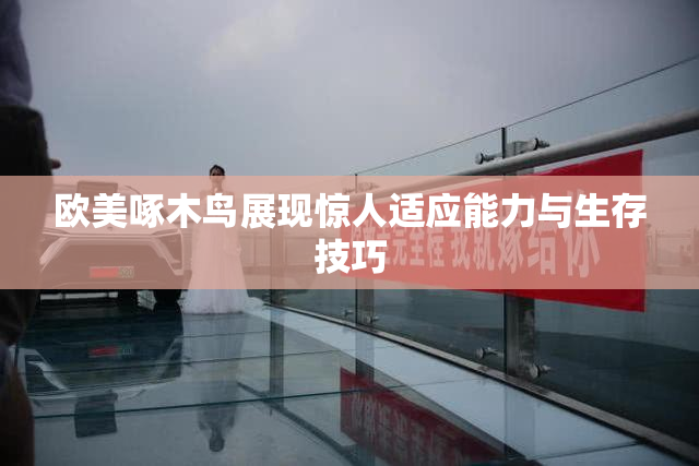 欧美啄木鸟展现惊人适应能力与生存技巧