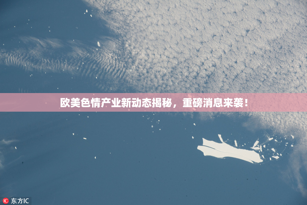 欧美色情产业新动态揭秘，重磅消息来袭！