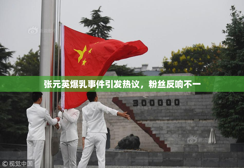 张元英爆乳事件引发热议，粉丝反响不一