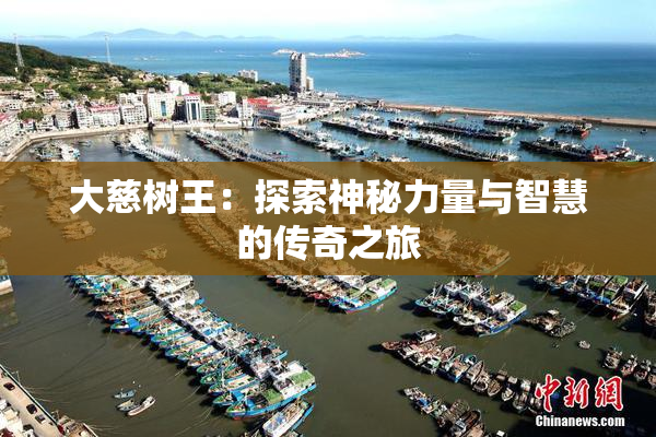 大慈树王：探索神秘力量与智慧的传奇之旅