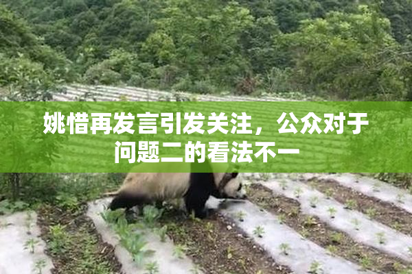 姚惜再发言引发关注，公众对于问题二的看法不一