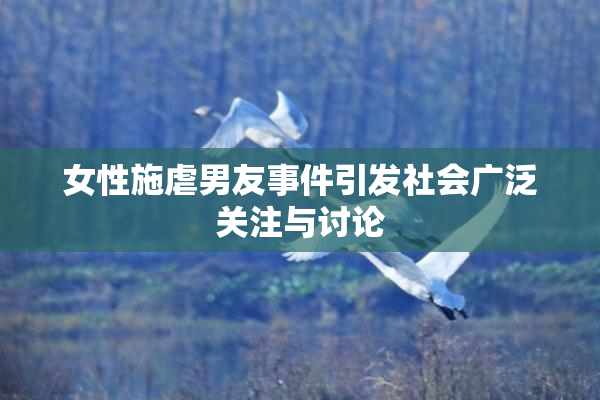 女性施虐男友事件引发社会广泛关注与讨论
