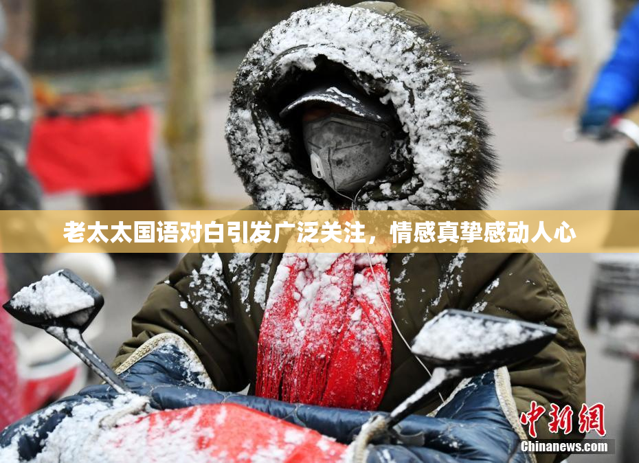 老太太国语对白引发广泛关注，情感真挚感动人心