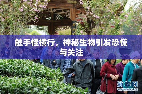 触手怪横行，神秘生物引发恐慌与关注