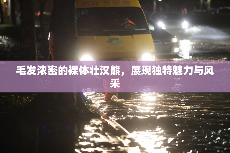 毛发浓密的裸体壮汉熊，展现独特魅力与风采