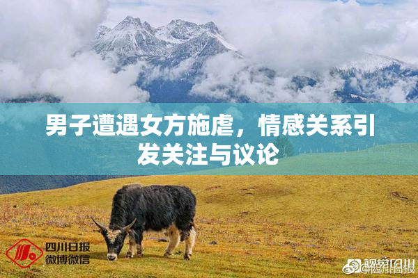 男子遭遇女方施虐，情感关系引发关注与议论