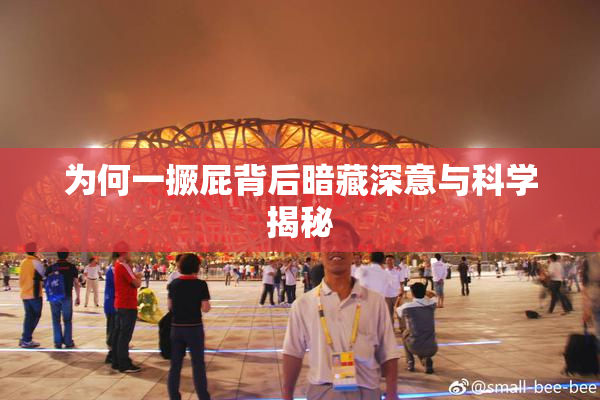 为何一撅屁背后暗藏深意与科学揭秘