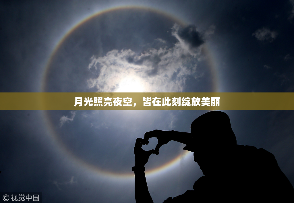月光照亮夜空，皆在此刻绽放美丽