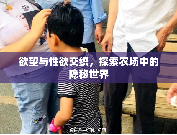 欲望与性欲交织，探索农场中的隐秘世界