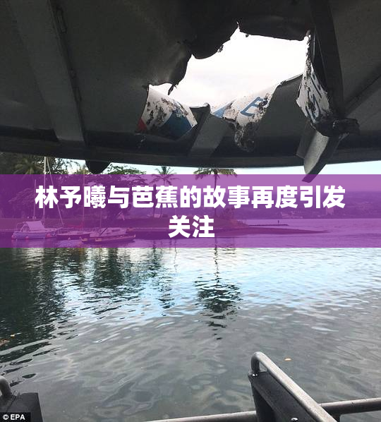 林予曦与芭蕉的故事再度引发关注