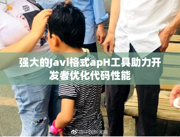 强大的Javi格式apH工具助力开发者优化代码性能