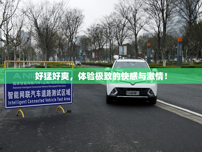 好猛好爽，体验极致的快感与激情！