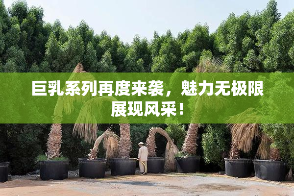 巨乳系列再度来袭，魅力无极限展现风采！