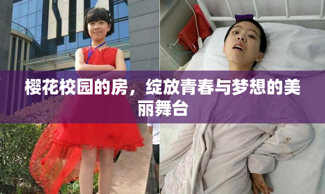 樱花校园的房，绽放青春与梦想的美丽舞台