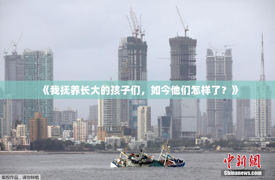 《我抚养长大的孩子们，如今他们怎样了？》
