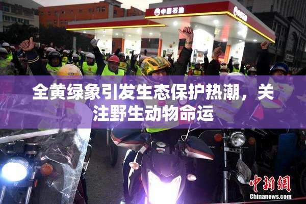 全黄绿象引发生态保护热潮，关注野生动物命运