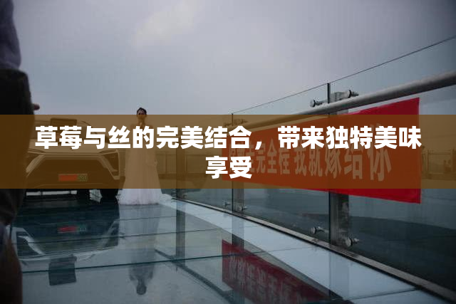 草莓与丝的完美结合，带来独特美味享受
