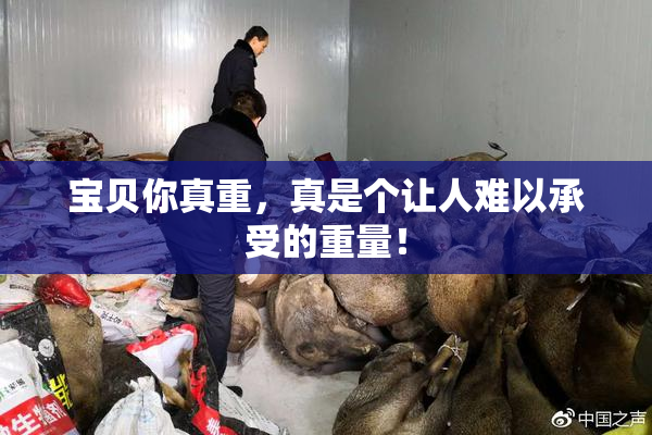 宝贝你真重，真是个让人难以承受的重量！