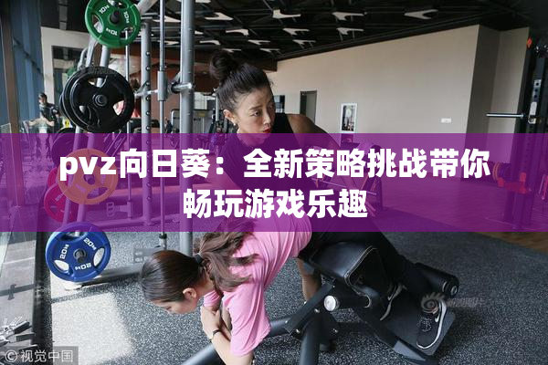 pvz向日葵：全新策略挑战带你畅玩游戏乐趣