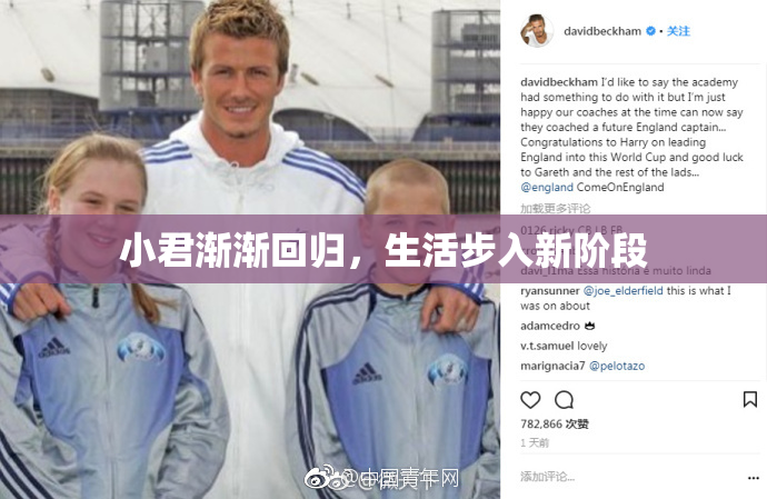 小君渐渐回归，生活步入新阶段