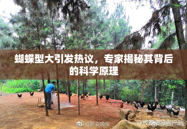 蝴蝶型大引发热议，专家揭秘其背后的科学原理