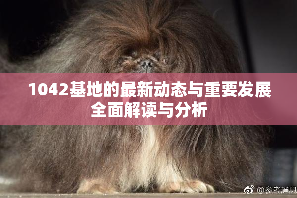 1042基地的最新动态与重要发展全面解读与分析