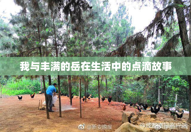 我与丰满的岳在生活中的点滴故事