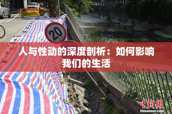 人与性动的深度剖析：如何影响我们的生活
