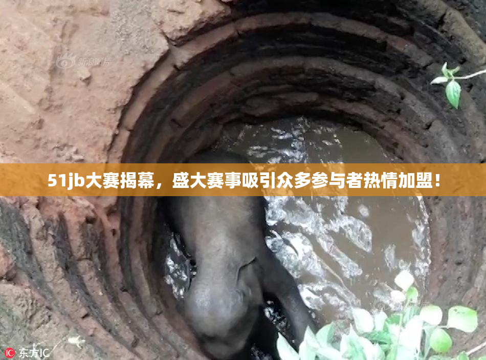 51jb大赛揭幕，盛大赛事吸引众多参与者热情加盟！