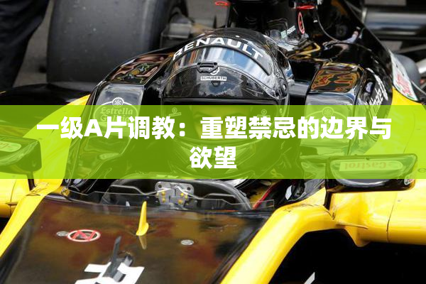 一级A片调教：重塑禁忌的边界与欲望