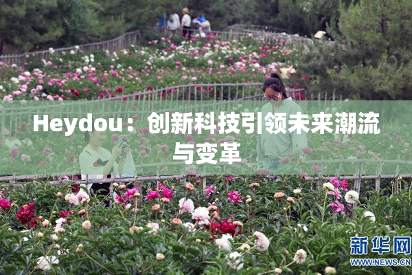 Heydou：创新科技引领未来潮流与变革