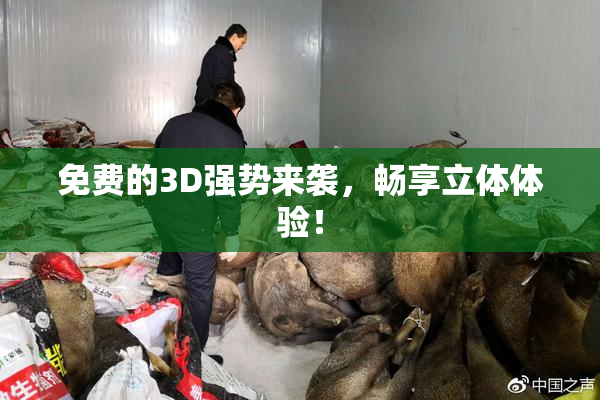 免费的3D强势来袭，畅享立体体验！