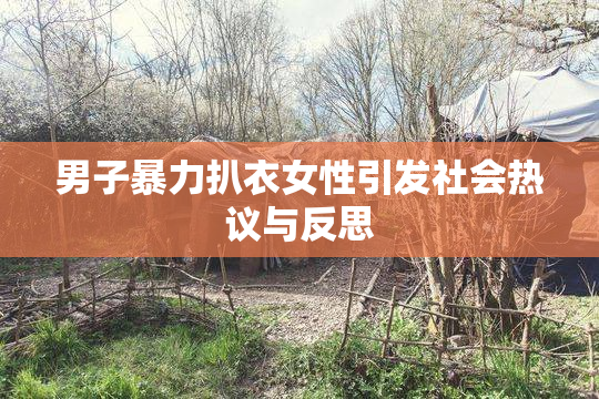 男子暴力扒衣女性引发社会热议与反思