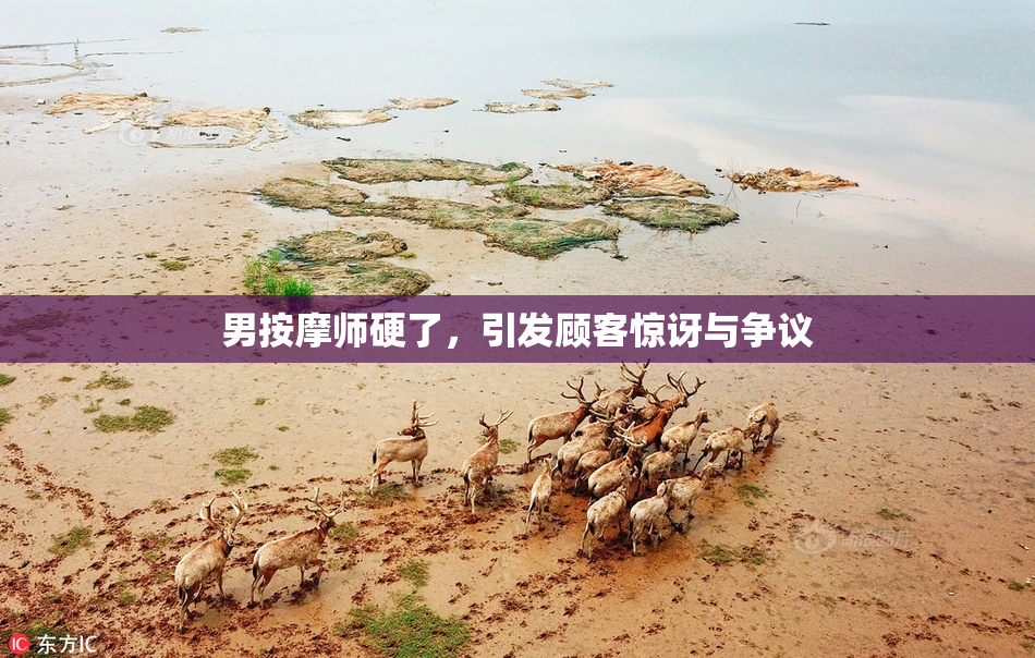 男按摩师硬了，引发顾客惊讶与争议