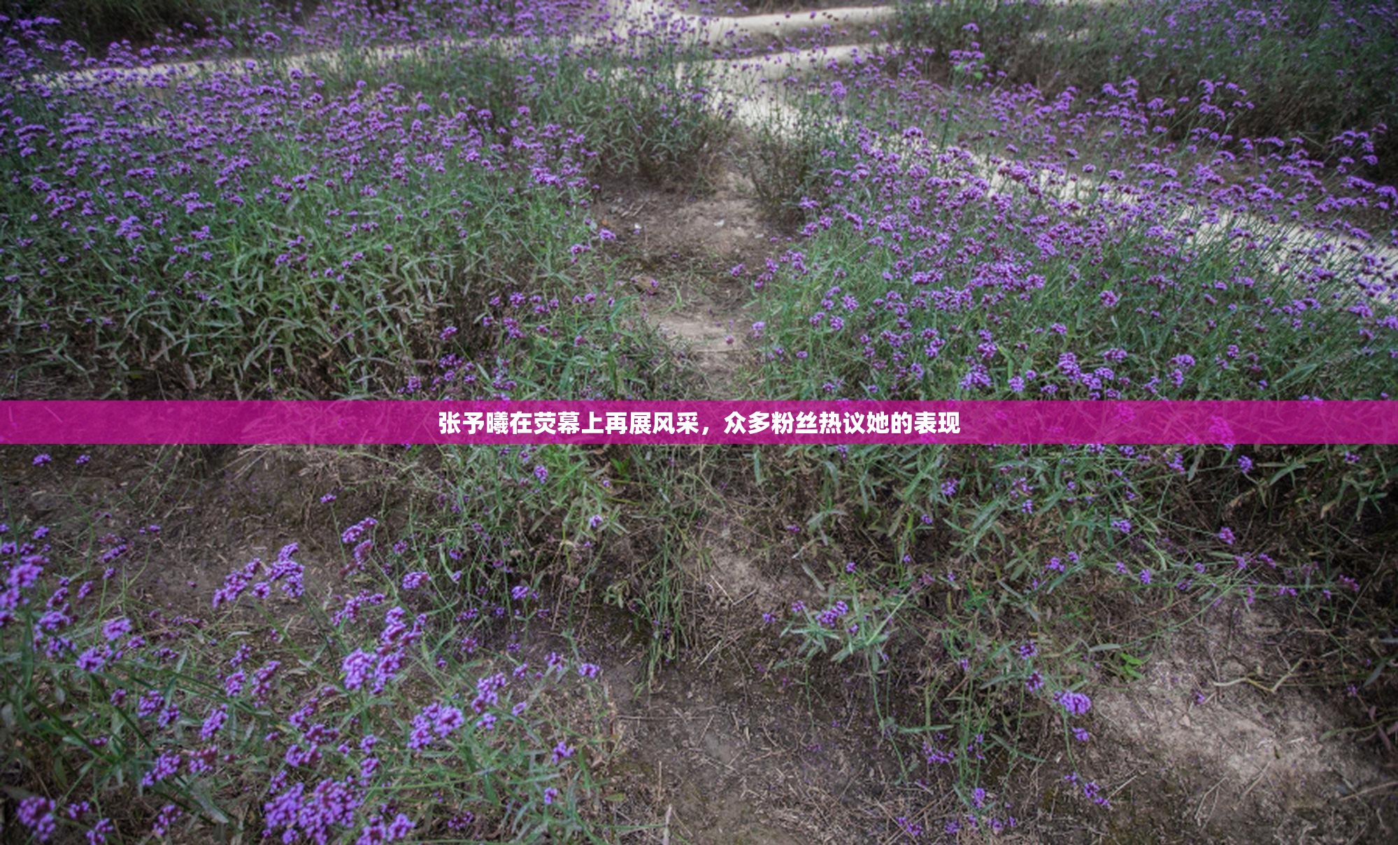 张予曦在荧幕上再展风采，众多粉丝热议她的表现