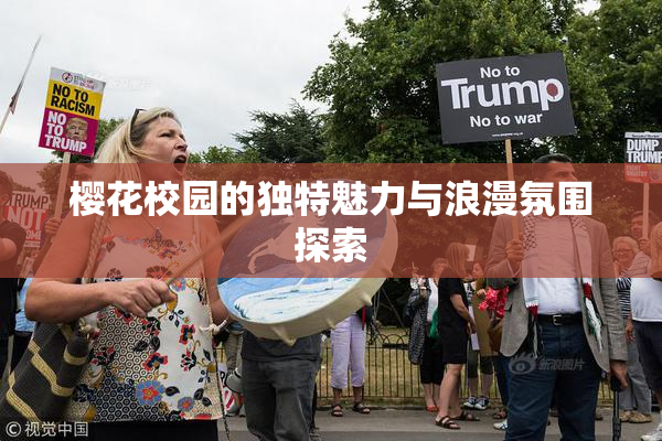 樱花校园的独特魅力与浪漫氛围探索