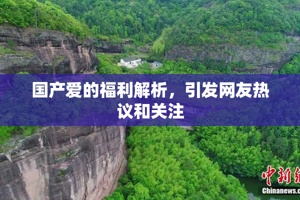 国产爱的福利解析，引发网友热议和关注