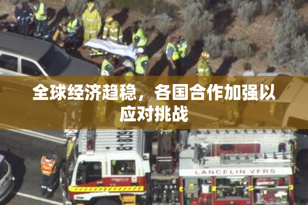 全球经济趋稳，各国合作加强以应对挑战