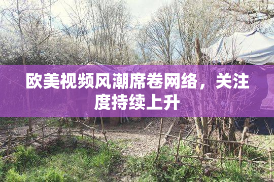 欧美视频风潮席卷网络，关注度持续上升