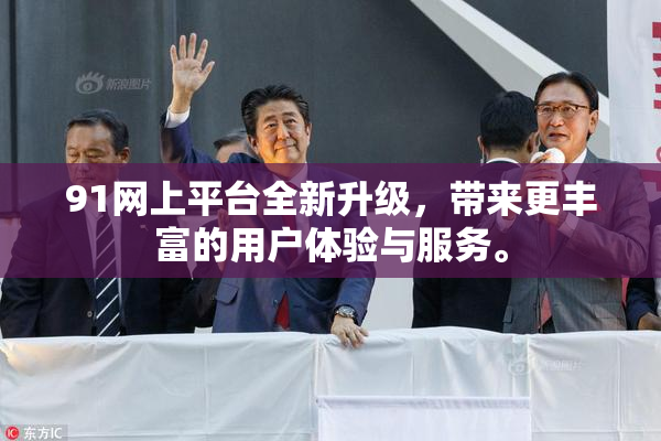 91网上平台全新升级，带来更丰富的用户体验与服务。