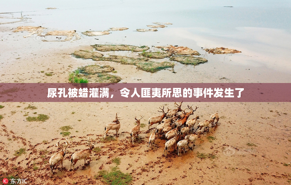 尿孔被蜡灌满，令人匪夷所思的事件发生了