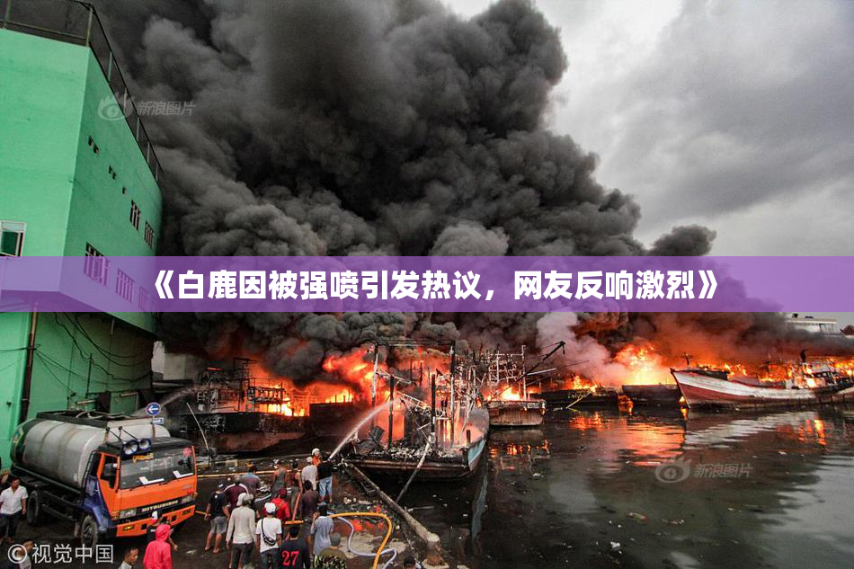 《白鹿因被强喷引发热议，网友反响激烈》