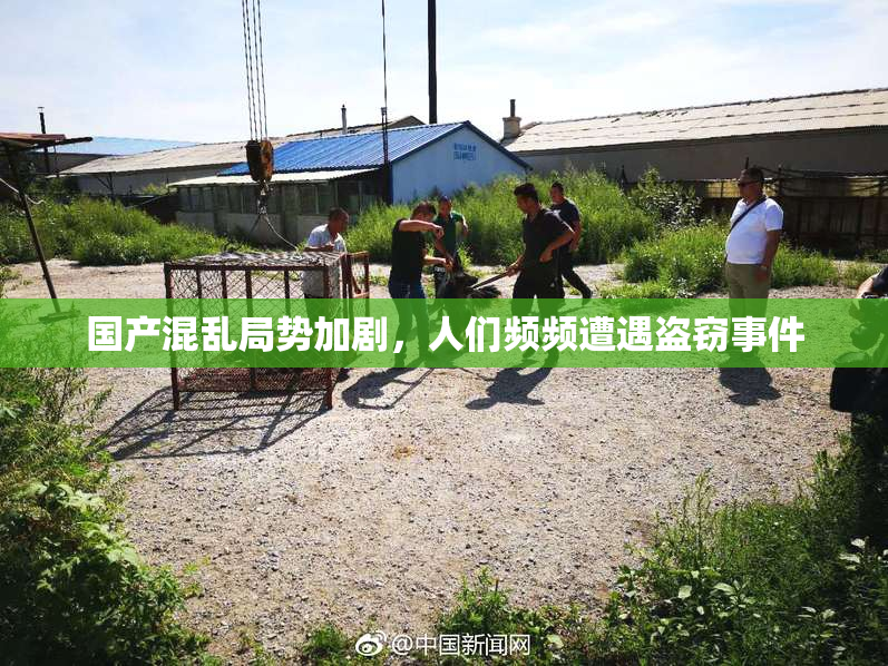 国产混乱局势加剧，人们频频遭遇盗窃事件
