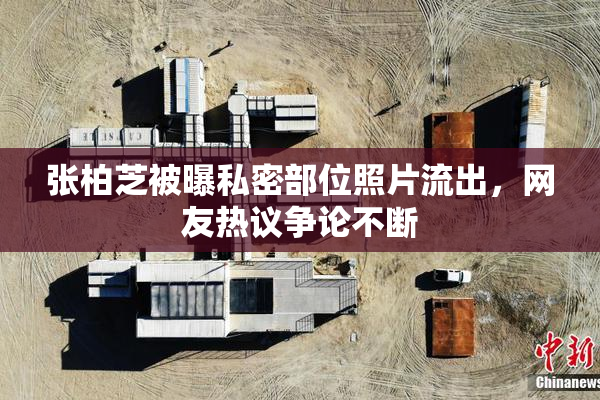 张柏芝被曝私密部位照片流出，网友热议争论不断