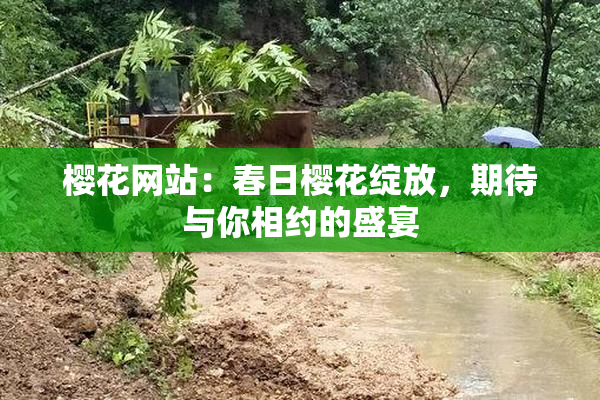 樱花网站：春日樱花绽放，期待与你相约的盛宴
