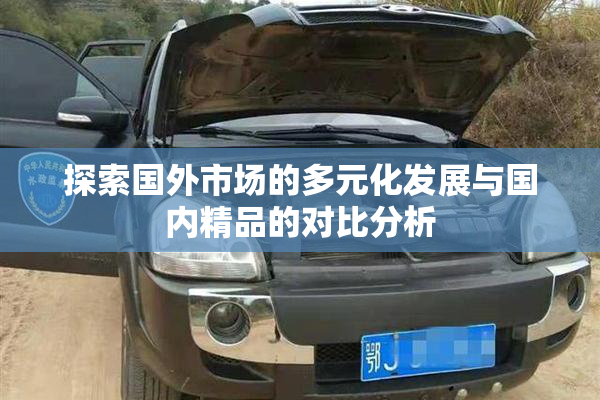 探索国外市场的多元化发展与国内精品的对比分析
