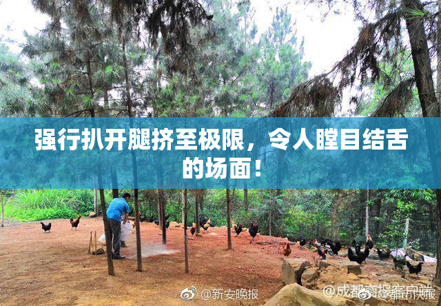 强行扒开腿挤至极限，令人瞠目结舌的场面！