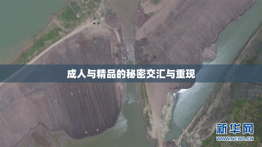 成人与精品的秘密交汇与重现